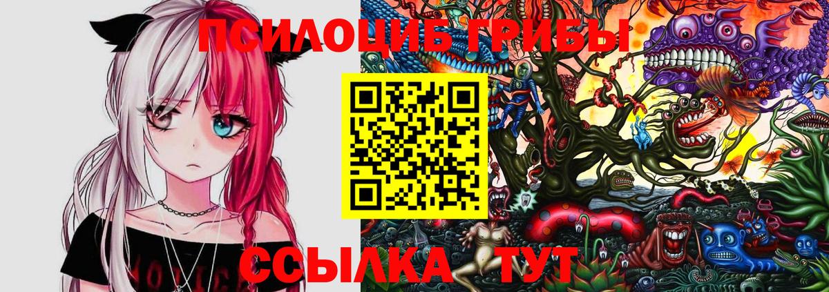 Псилоцибиновые грибы мицелий Кимры