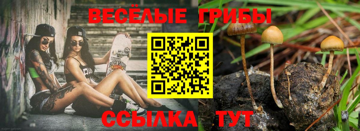 где купить наркоту  Псилоцибиновые грибы GOLDEN TEACHER  Вход с VPN  Кимры 